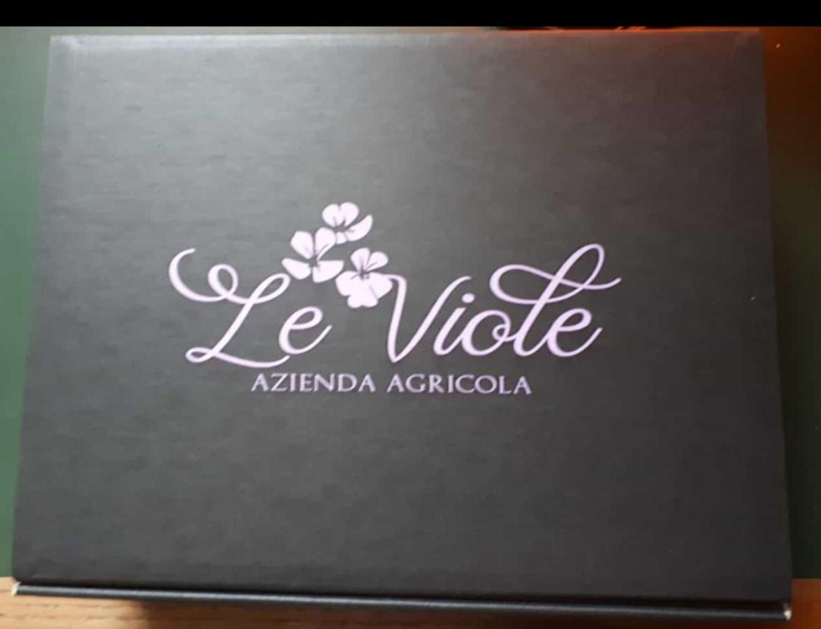 Agriturismo Le Viole Barolo Kültér fotó