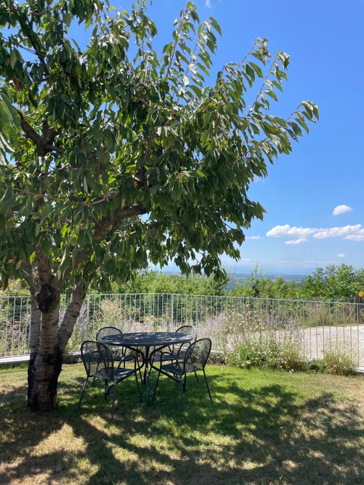 Agriturismo Le Viole Barolo Kültér fotó
